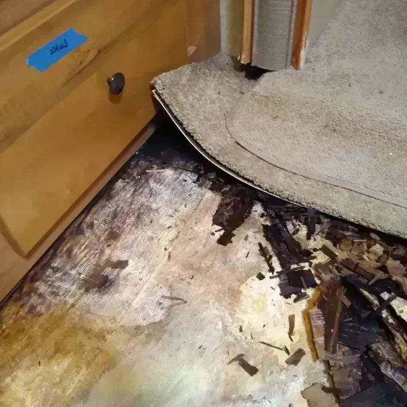 Wood Floor Water Damage in Monmouth County, NJ